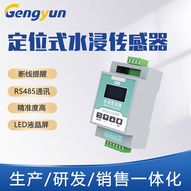 定位式水浸变送器